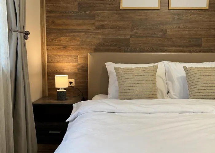 公寓 Centre For 4 Guests & Parking 普罗夫迪夫